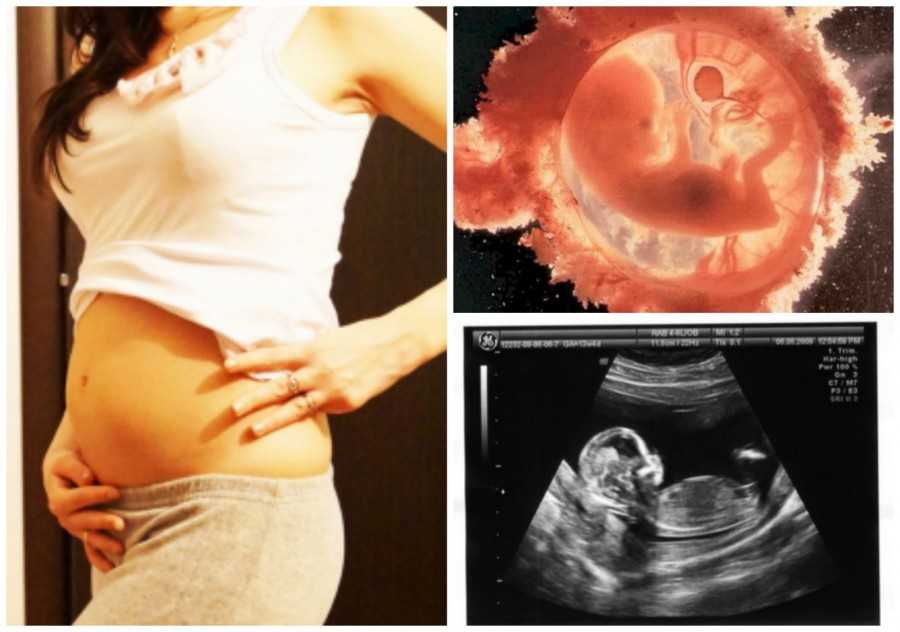 20 неделя беременности – что происходит, ощущения в животе на двадцатой неделе беременности, развитие плода - agulife.ru