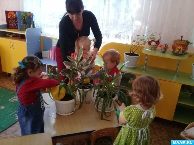 Проект «мир комнатных растений» в средней группе. воспитателям детских садов, школьным учителям и педагогам - маам.ру