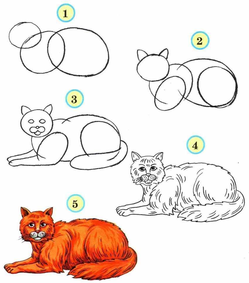 Как легко и красиво нарисовать домашних животных поэтапно карандашом для начинающих
