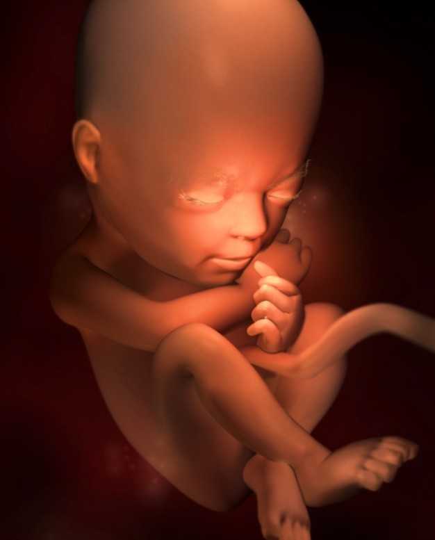 34 неделя беременности: шевеления плода и ощущения мамы, необходимые исследования и анализы, образ жизни беременной и фото животиков