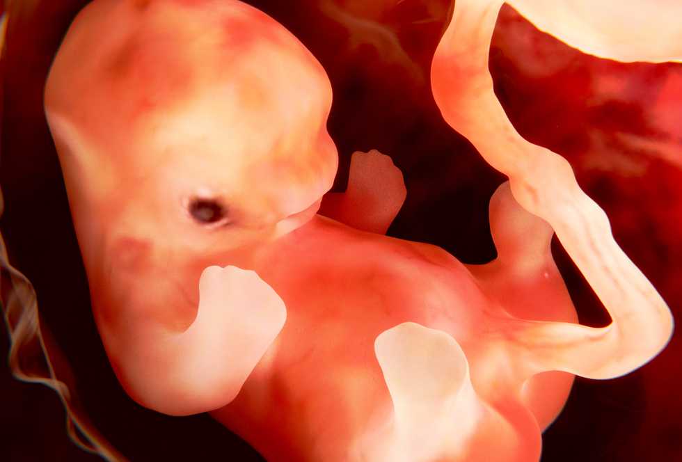 Уже совсем человечек: врач рассказала о развитии малыша и ощущениях мамы на сроке 13 недель беременности