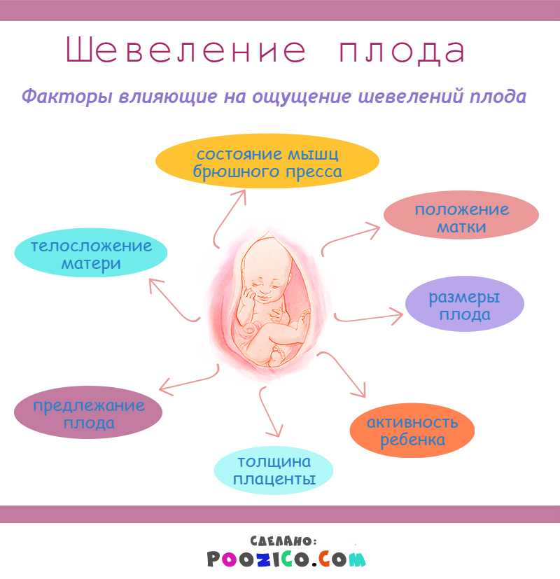 Шевеление плода при второй беременности: норма :: syl.ru