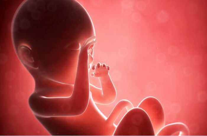 Мозг ребёнка: развитие гм в течение первых лет жизни