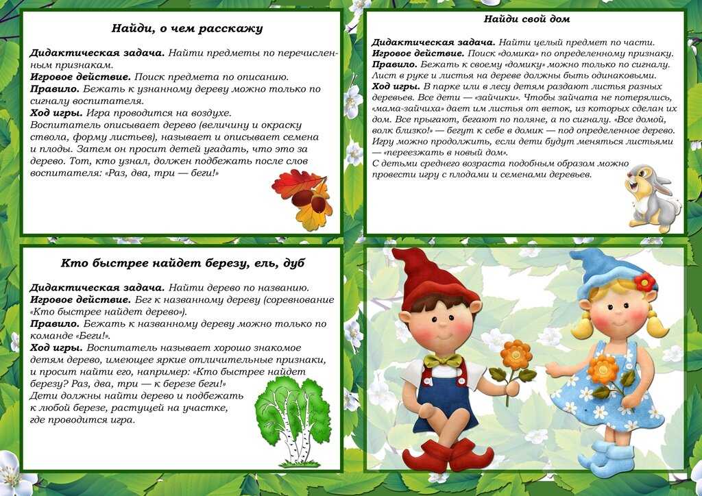 Дидактические игры по экологии в средней группе, картотека с примерами игровых занятий экологической тематики