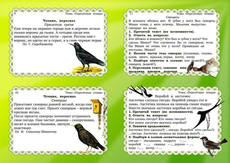Конспект занятия в старшей группе по экологии «перелетные птицы». воспитателям детских садов, школьным учителям и педагогам - маам.ру
