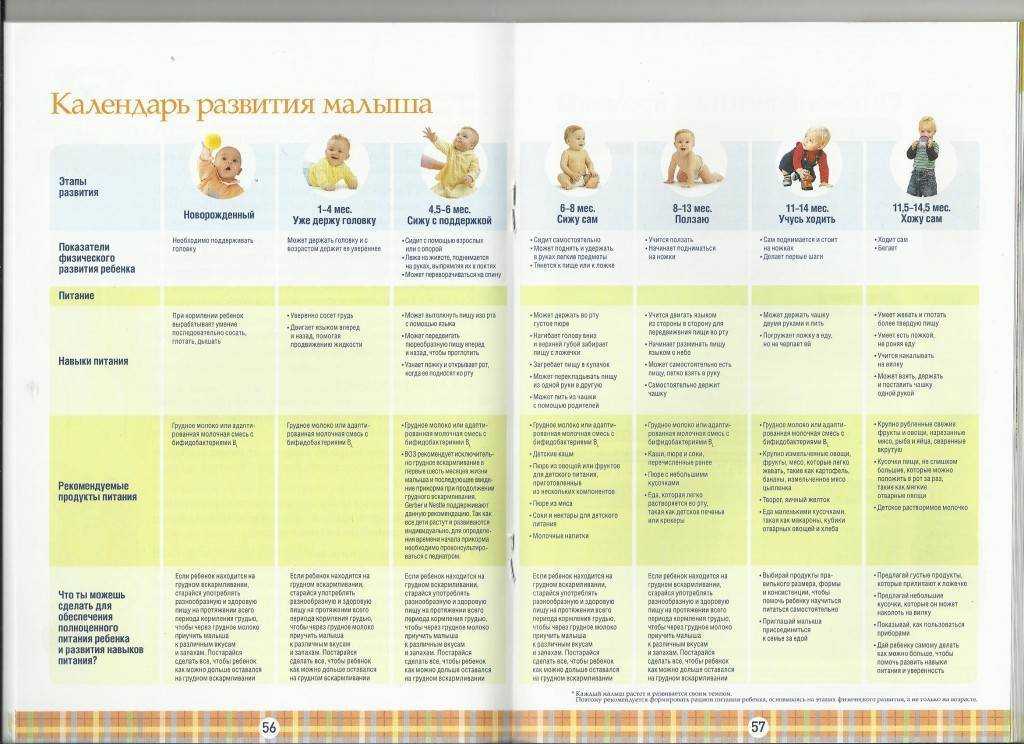 Развитие ребенка до года: особенности, норма. этапы развития ребенка до года :: syl.ru