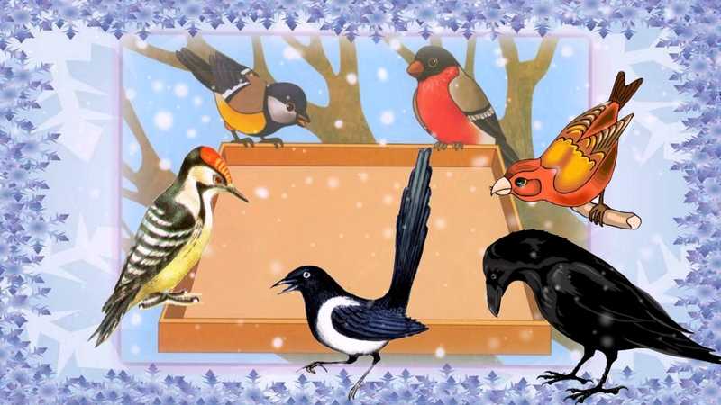 Конспект занятия по ознакомлению с окружающим миром в средней логопедической группе «зимующие птицы»