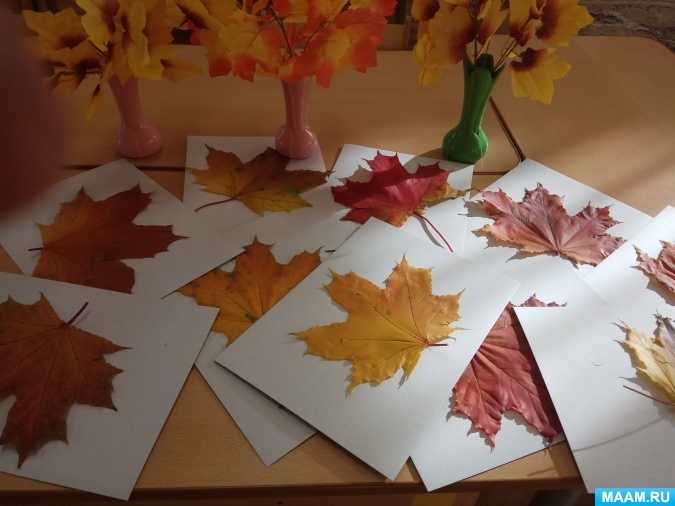 Конспект нод «рисование отпечатками листьев» для первой младшей группы