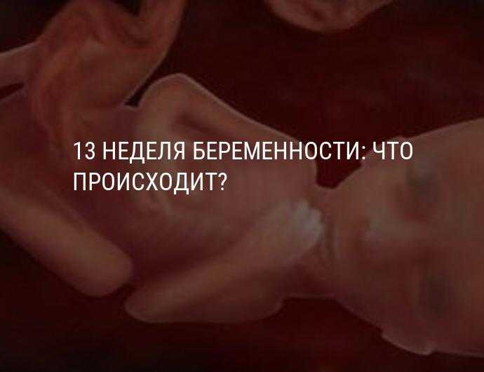 16 неделя беременности развитие и фото — евромедклиник24