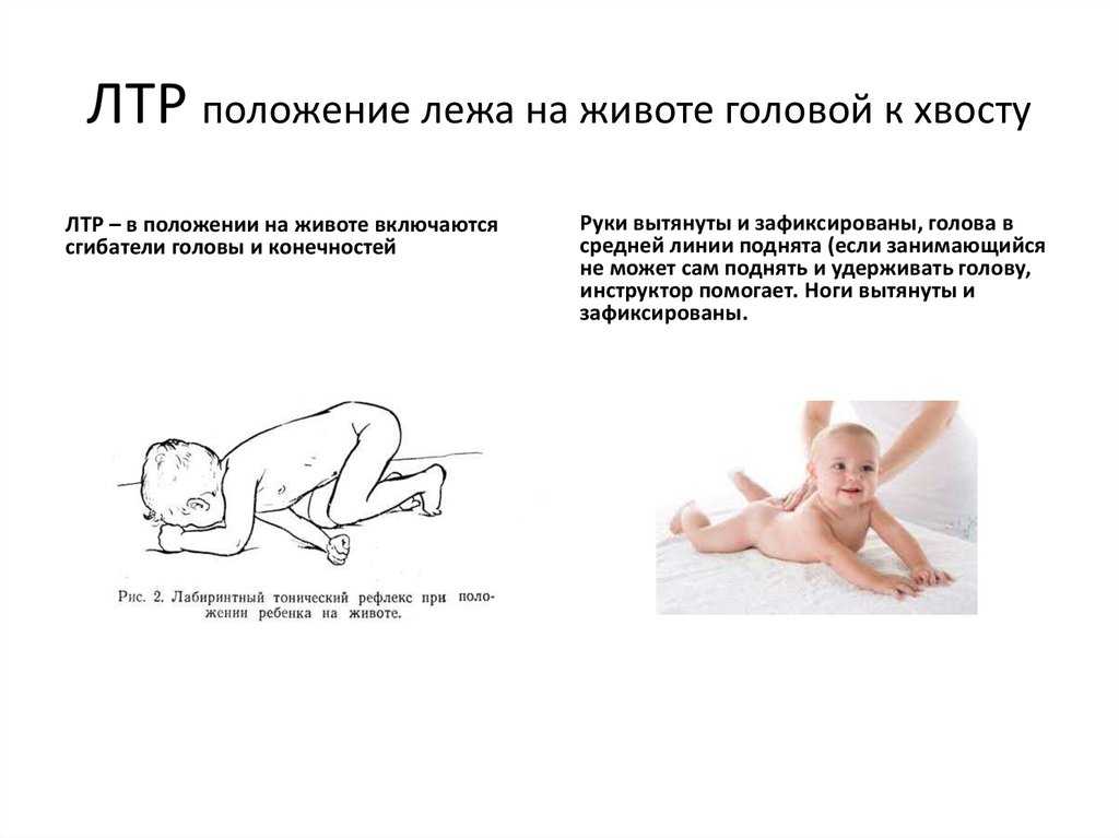 Во сколько дети начинают держать головку самостоятельно или когда новорожденный ребенок начинает держать голову лежа на животе и в вертикальном положении • твоя семья - информационный семейный портал