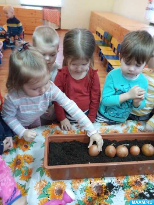 Занятие по фэмп для подготовительной к школе группы «овощи». воспитателям детских садов, школьным учителям и педагогам - маам.ру