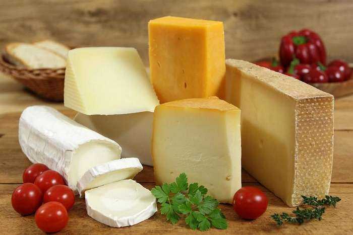 Полезен ли сыр детям? сыр в детском питании. когда и какой сыр можно давать детям.
