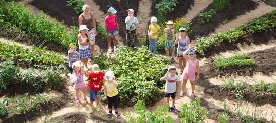 Проект "во саду ли в огороде" - публикации - мой успех - конкурсы для детей, педагогов, воспитателей и родителей.