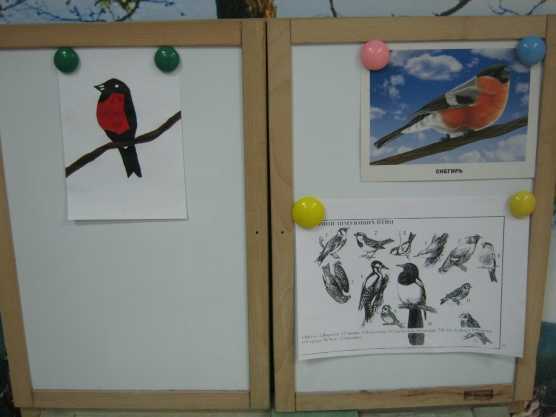 Конспект занятия в подготовительной группе на тему «зимующие птицы». воспитателям детских садов, школьным учителям и педагогам - маам.ру