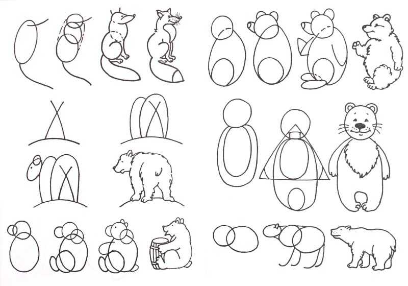 Учим детей рисовать животных: 40 картинок-инструкций