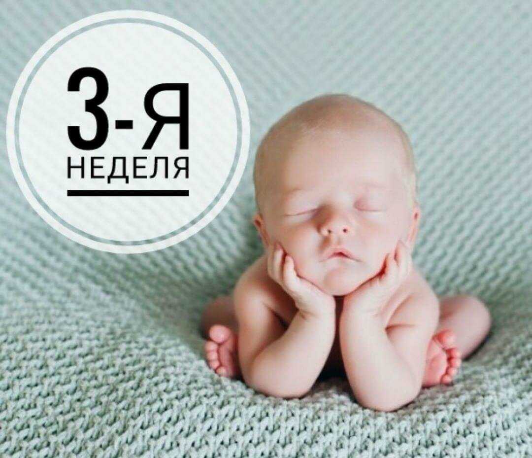 Первые недели новорожденного ребенка. 2 Недели ребенку поздравление. Три недели малышу открытка. Поздравления с 3 неделями малышу. 1 Месяц ребенку.