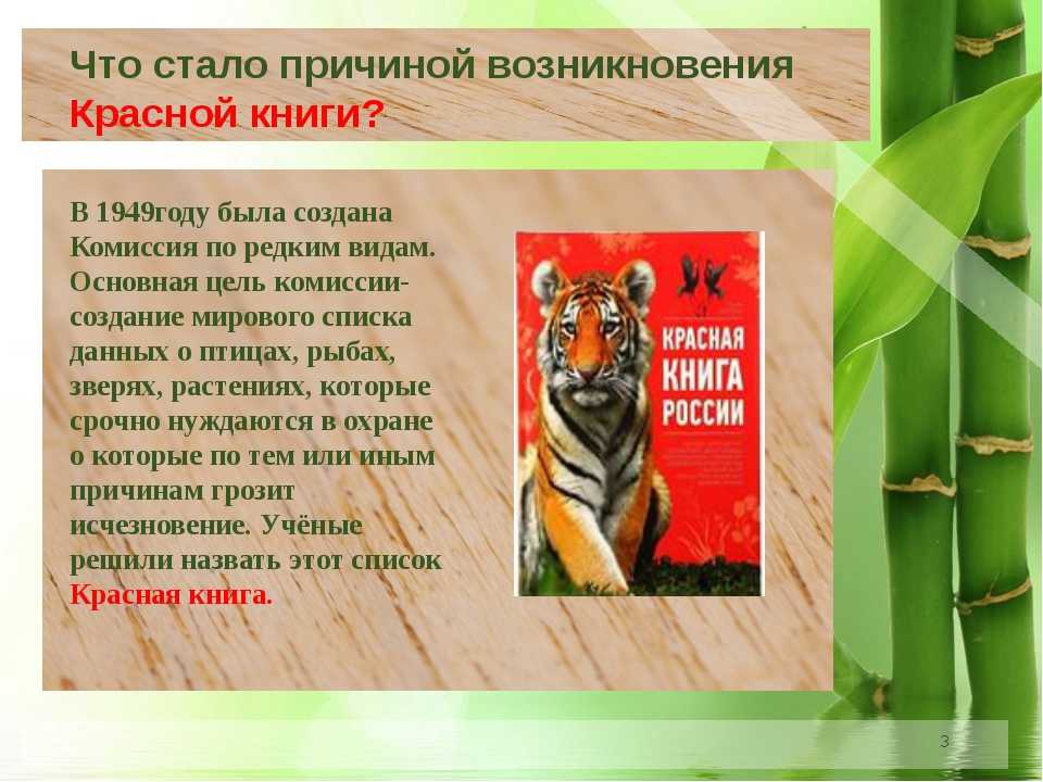 Проект по окружающему 4 класс красная книга россии