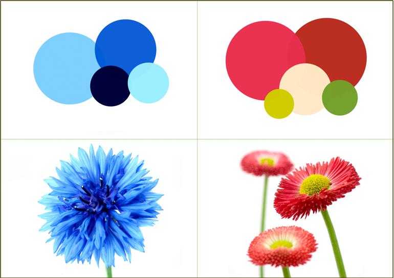 Цвет. изучаем цвета, цветовосприятие