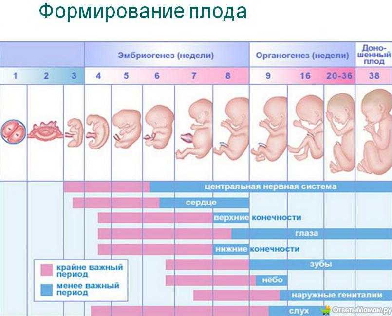 Когда можно почувствовать первые шевеления малыша - детская городская поликлиника №1 г. магнитогорска