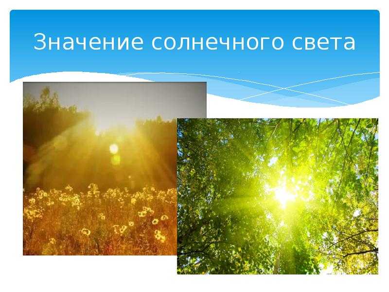 Конспект занятия по экологии на тему «значение солнца в нашей жизни»