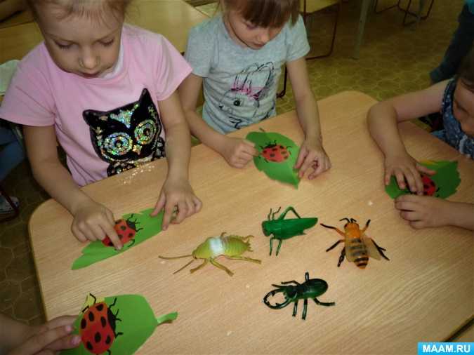 Конспект занятия в средней группе «насекомые». воспитателям детских садов, школьным учителям и педагогам - маам.ру