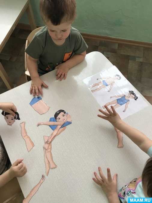 Конспект нод для детского сада по теме: «тело человека». средняя группа