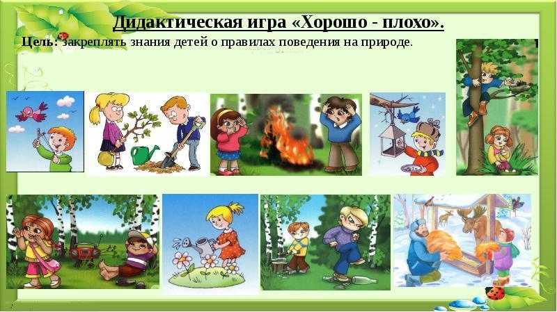 Правила поведения в лесу для дошкольников. старшая группа.