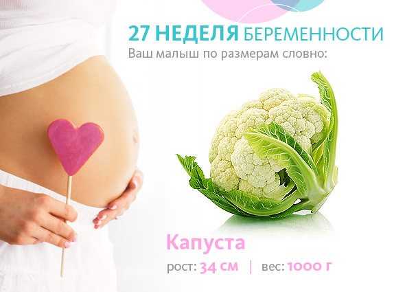 24 неделя беременности: ощущения, признаки, развитие плода