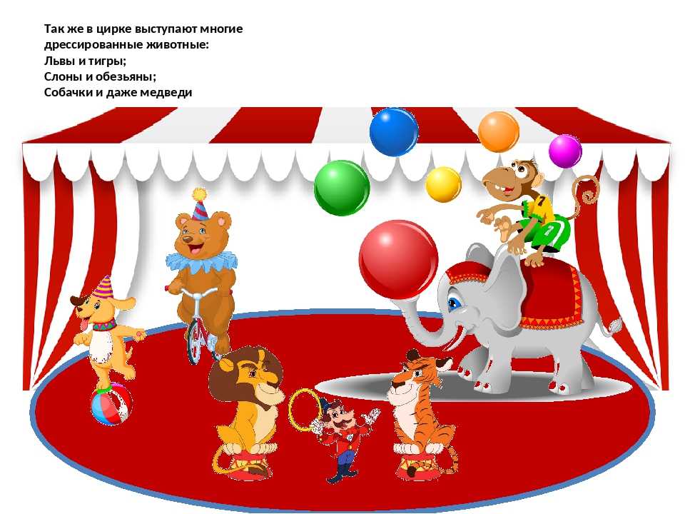 Вечеринка в стиле цирк для взрослых: представление начинается! | fiestino.ru
