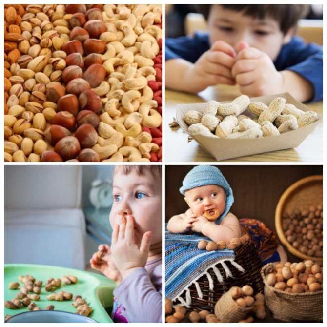 Какие орехи можно давать детям: с какого возраста вводить в рацион