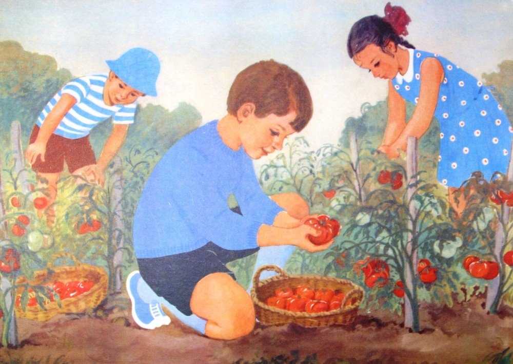 Конспект нод с детьми старшей группы «поможем осени собрать урожай»