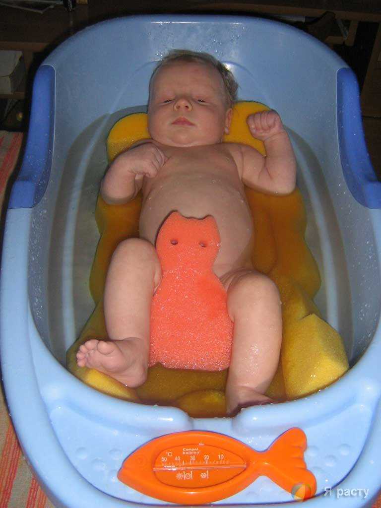 Гигиена новорожденного мальчика: как мыть ребенка в первые дни дома, каким образом правильно купать, сколько раз в неделю, мнение комаровского об интимном уходе