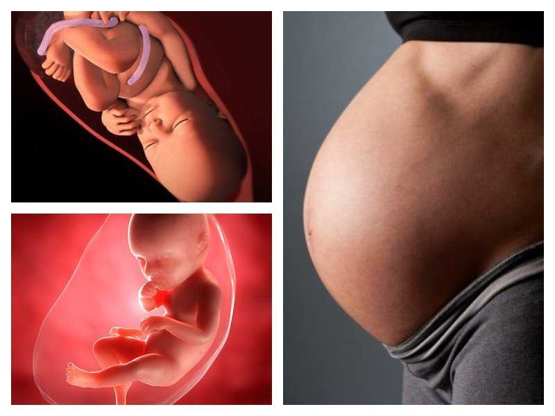 39 неделя беременности: предвестники родов у первородящих и повторнородящих, что происходит с малышом и мамой