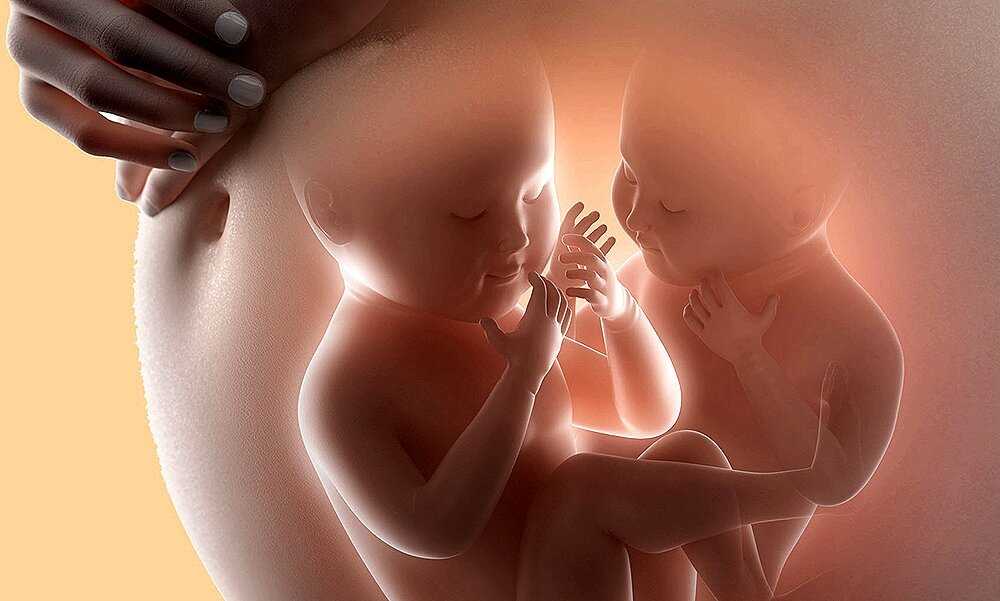 Что показывает узи у беременных двойней