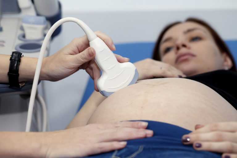 Шестая неделя беременности: признаки и ощущения, что происходит с малышом, что делать, если тянет живот и есть выделения, обследования хгч и узи | nutrilak