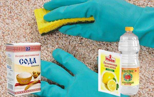 Как удалить запах мочи с ковра: 32 лучших средства для чистки в домашних условиях