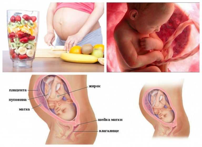 Узи 3 триместра беременности на сроках 32, 33, 34 неделя | центр медицины плода