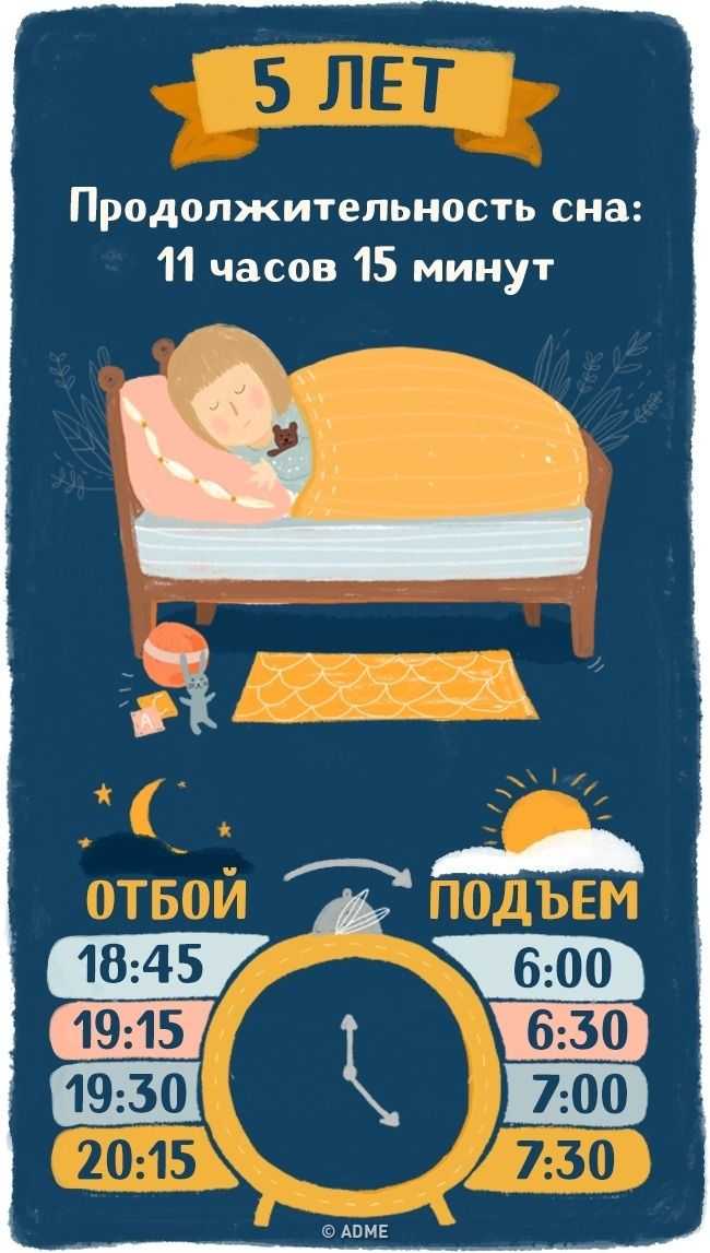 Нормы сна и бодрствования для детей: таблица