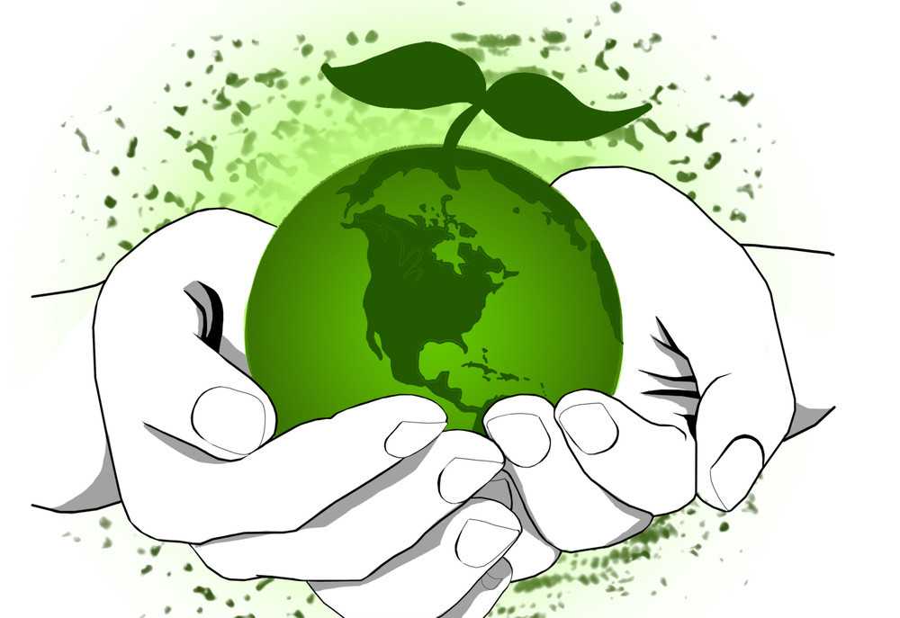 Краткосрочный проект по экологии «зелёная планета»