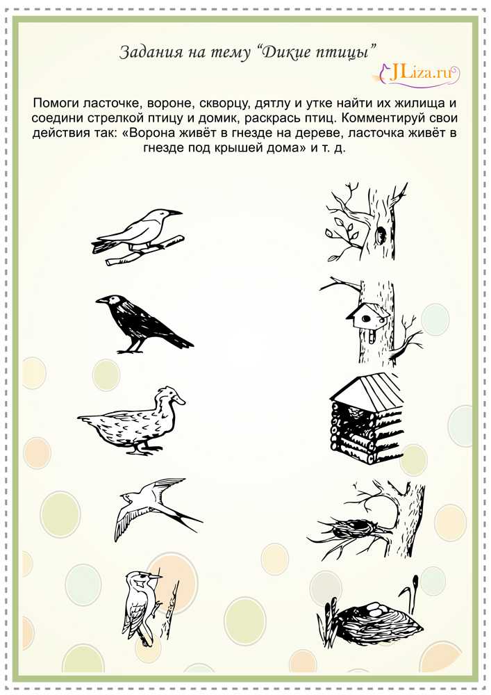 Конспект логопедического занятия
по лексической теме «зимующие птицы»
для детей 6-7 лет с нарушениями речи | коррекционная работа в доу  | современный урок