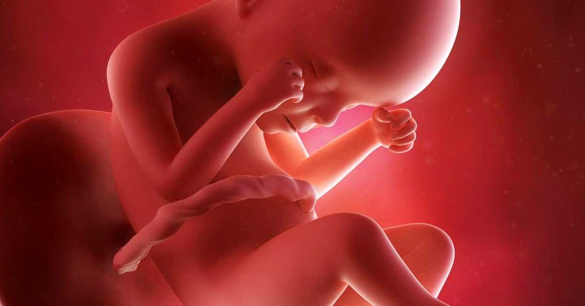 27 неделя беременности: признаки и ощущения женщины, симптомы, развитие плода