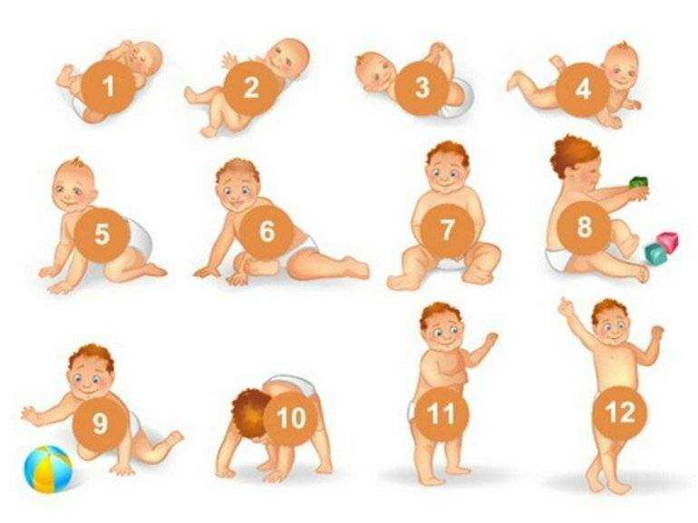 Особенности развития ребенка в 3 месяца