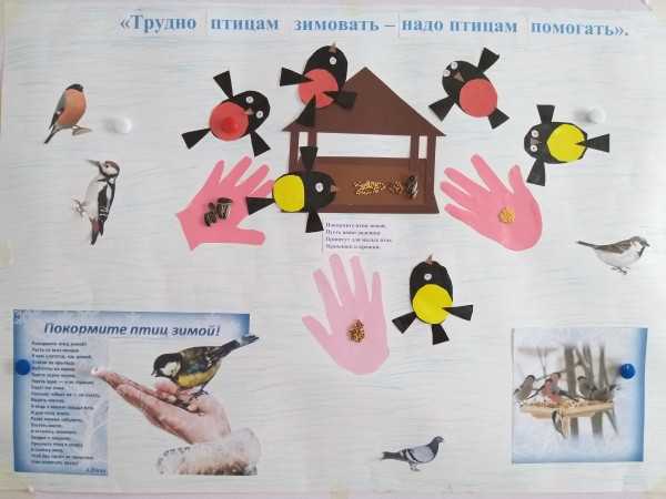 Экологический мини-проект для детей 4–5 лет «трудно птицам зимовать — надо птицам помогать»