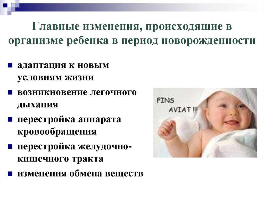 В период новорожденности происходит адаптация ребенка к внеутробной жизни. Все органы и системы малыша дозревают. Важно обеспечить ему благоприятные условия для развития.