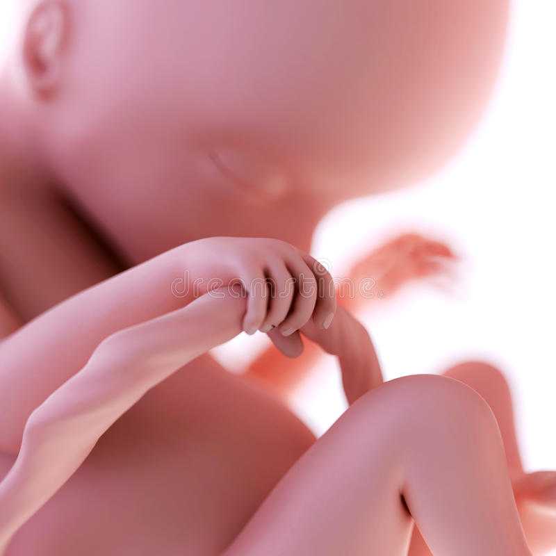 Узнайте все самое важное о 16 неделе беременности на нашем сайте что происходит в организме женщины, ощущения, шевеление ребенка