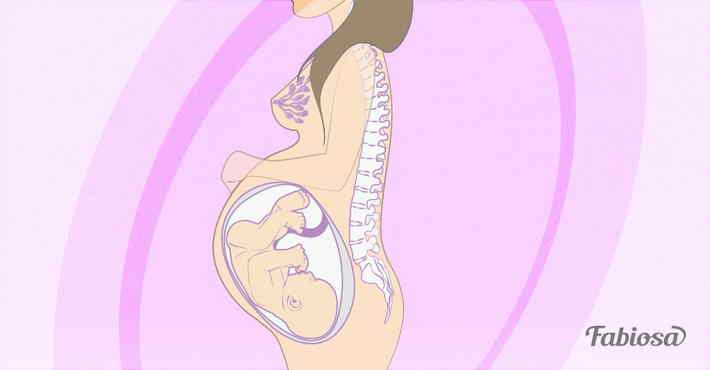 Долгожданная 24 неделя беременности – ощущение, развитие плода, рекомендации