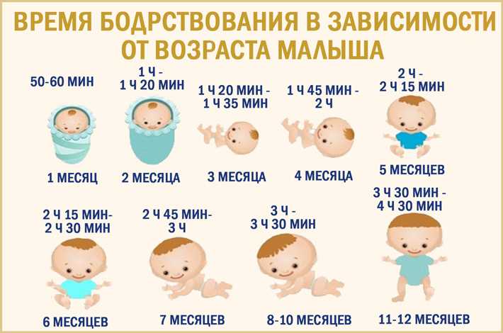 Сколько должен спать новорожденный в 1 месяц Среднестатистические показатели дают лишь общую картину, сон каждого отдельного ребенка будет индивидуальным, как и он сам.