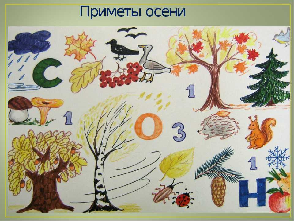 Конспект фронтального логопедического занятия в старшей группе для детей с общим недоразвитием речи по теме «деревья в осеннем лесу»  |   логопедический портал