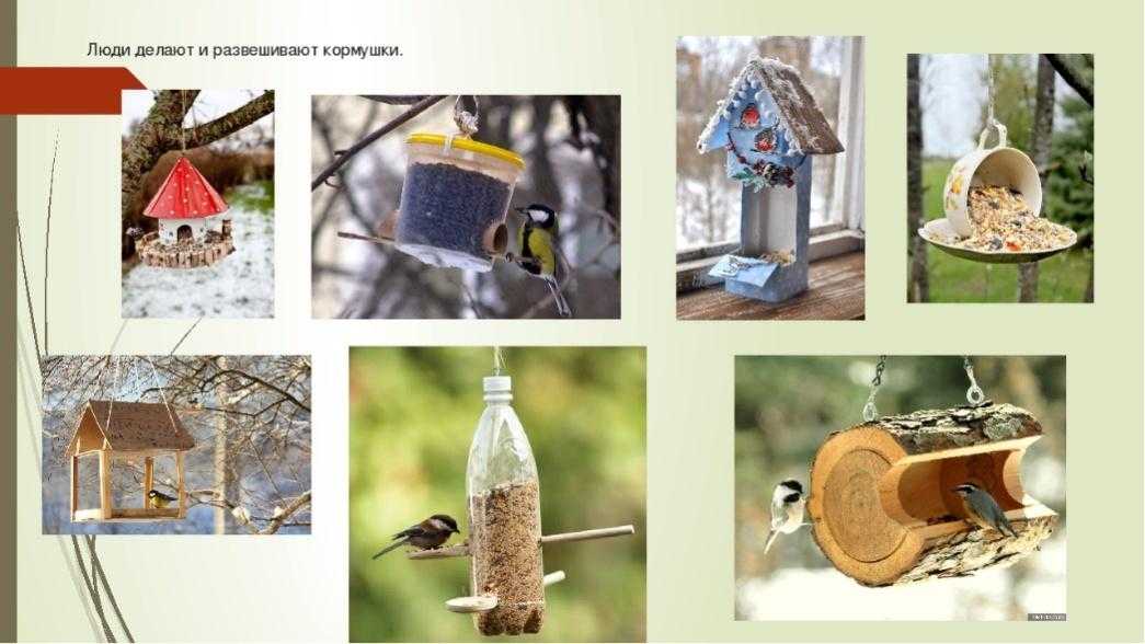 Кормушка для птиц: 125 фото идей простых и оригинальных птичьих кормушек