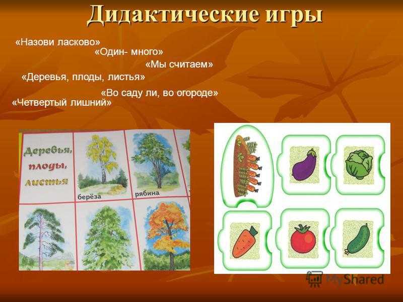 Дидактические игры для детей от 4 лет на тему: «деревья и кустарники»